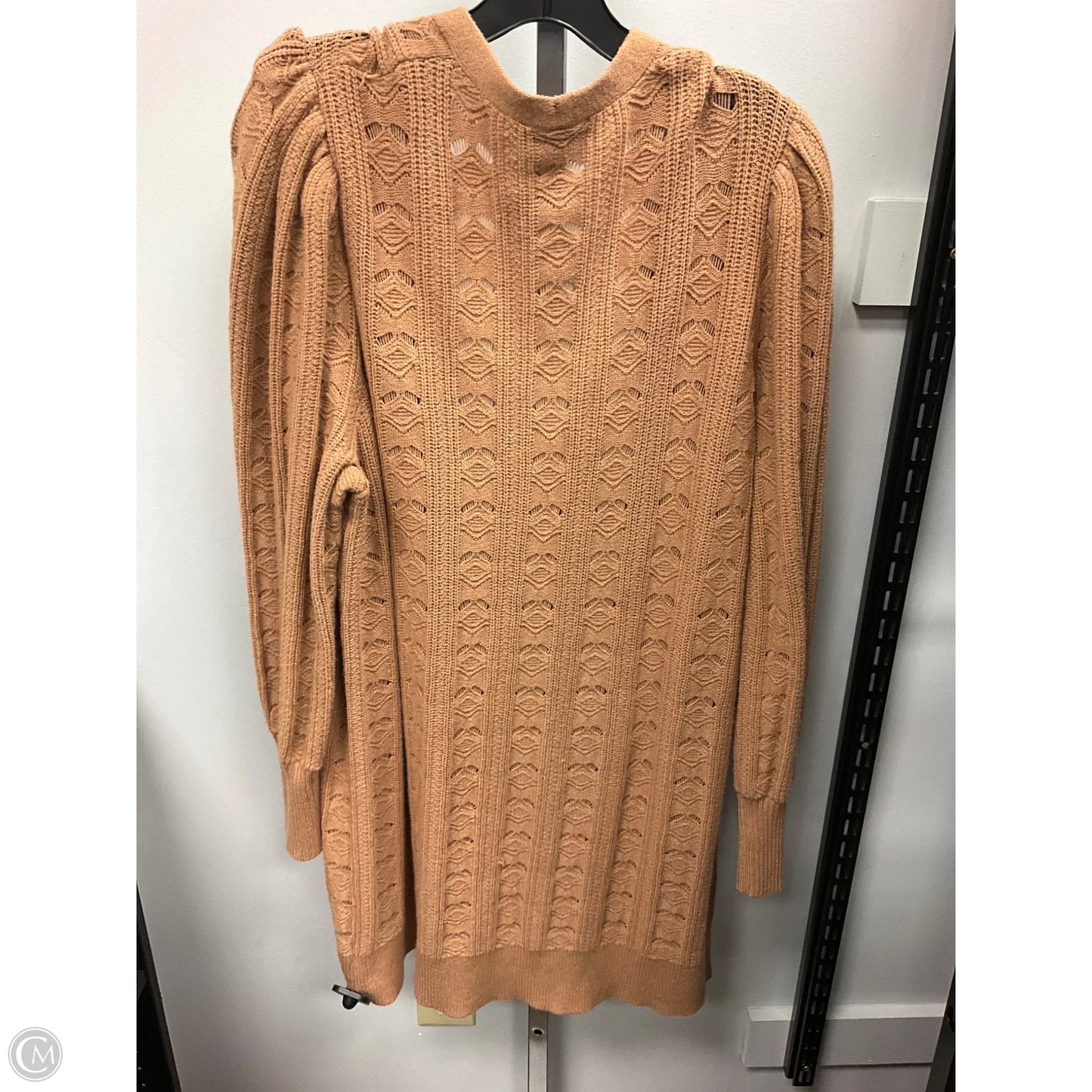 Sweater Cardigan By Express In Tan, Size: Xl
