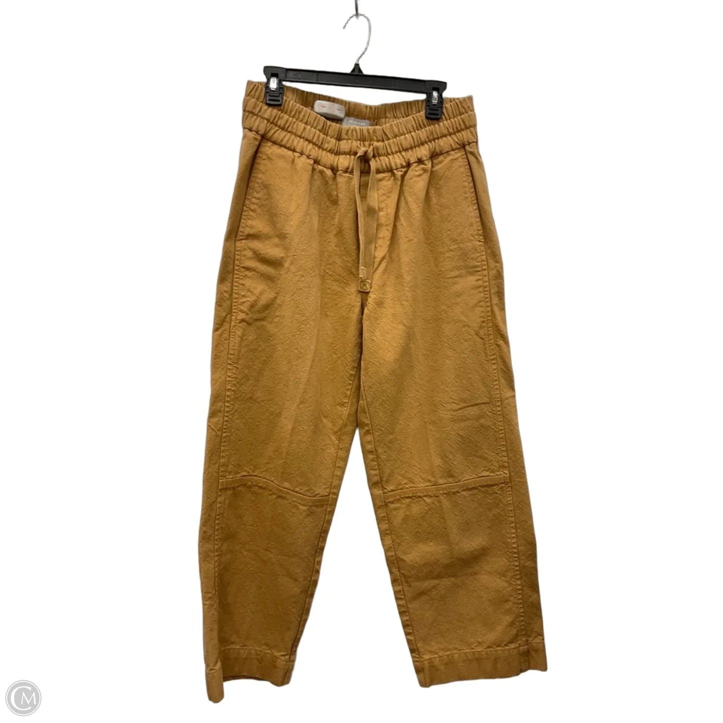 Pants Wide Leg By Everlane In Brown, Size: L