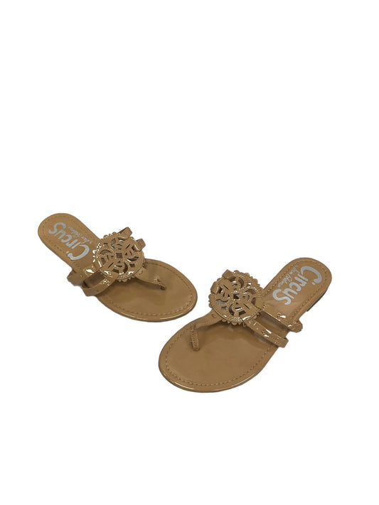 Sandals Flip Flops By Circus By Sam Edelman  Size: 7.5