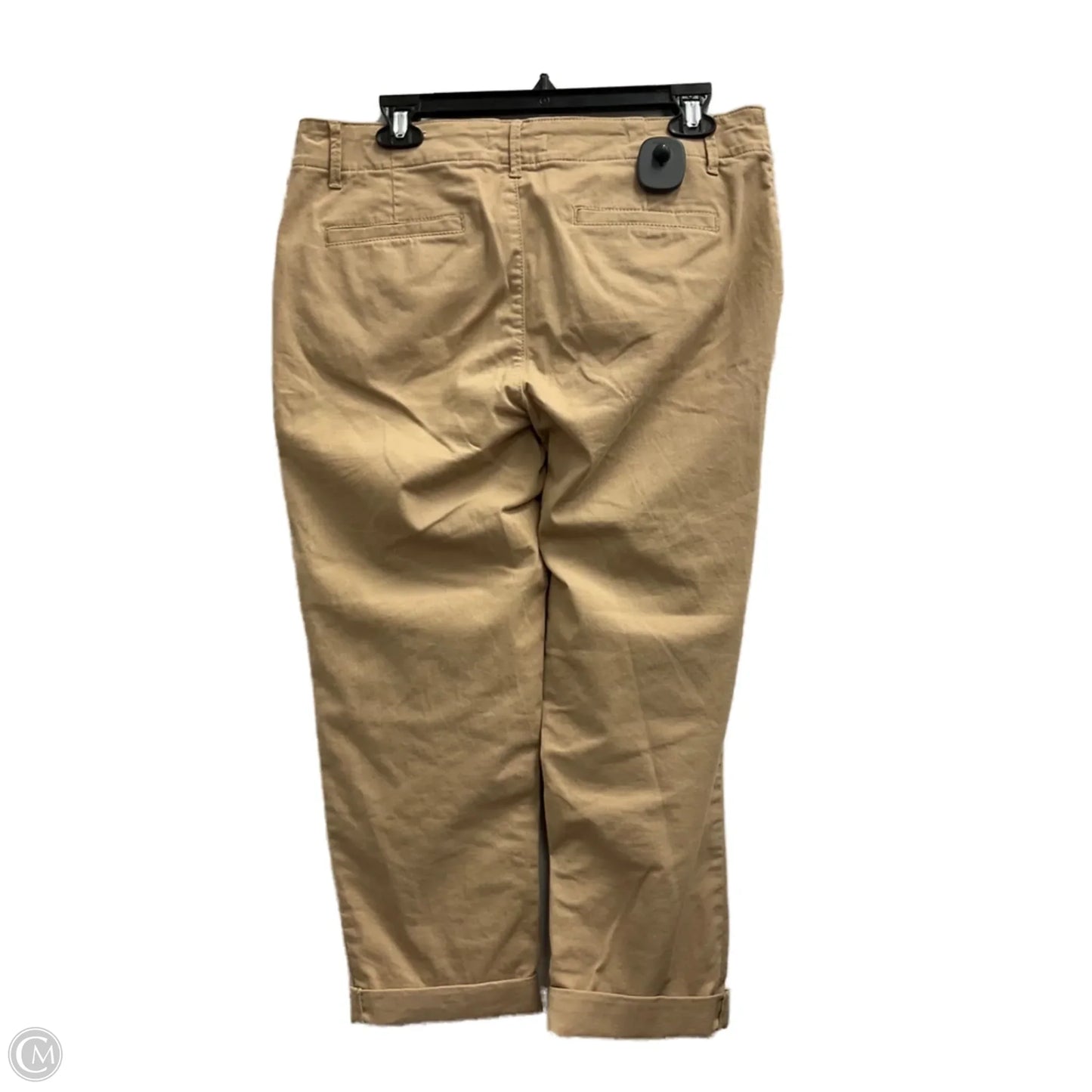 Capris By Loft In Tan, Size: 6