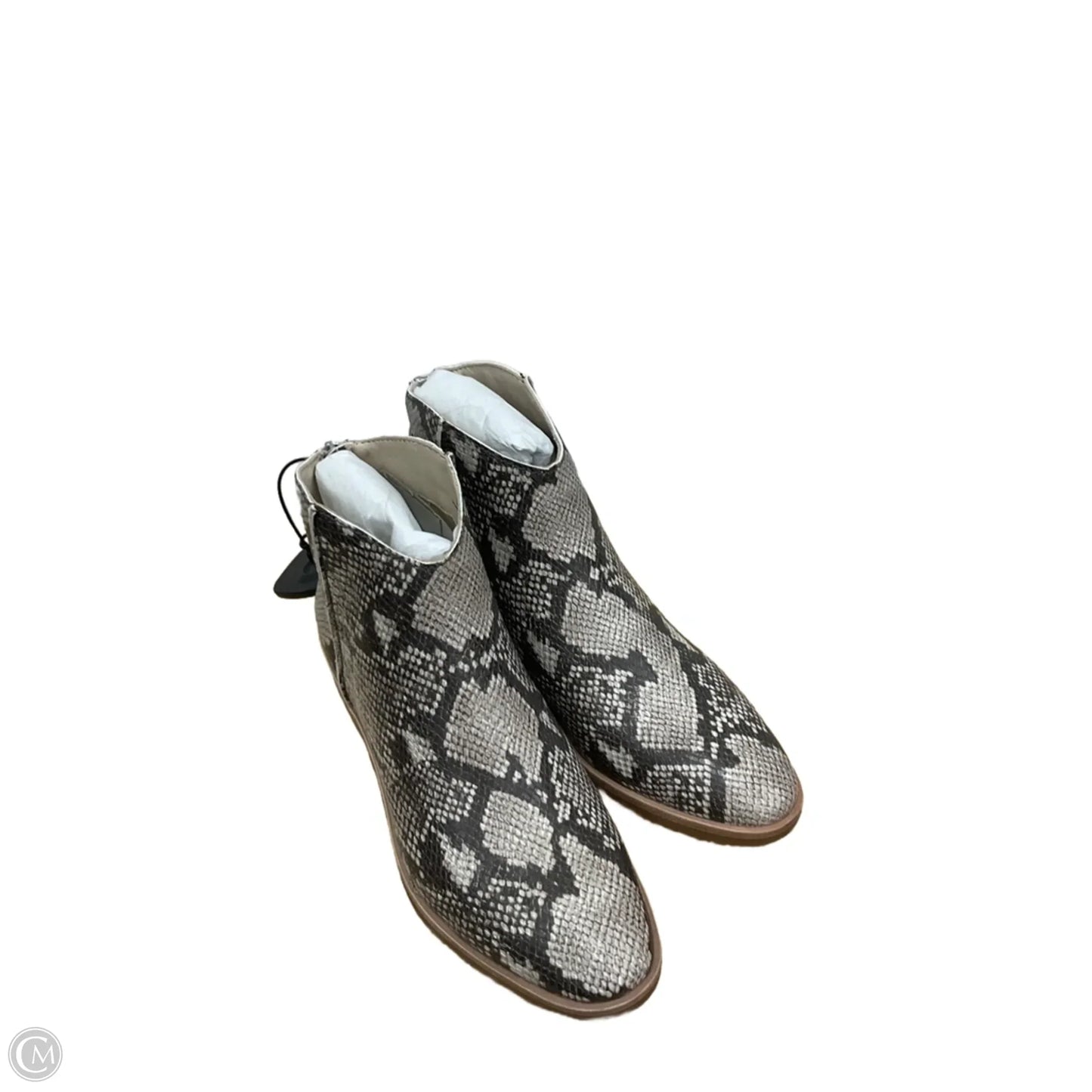 Boots Ankle Heels By Dolce Vita In Snakeskin Print, Size: 8.5