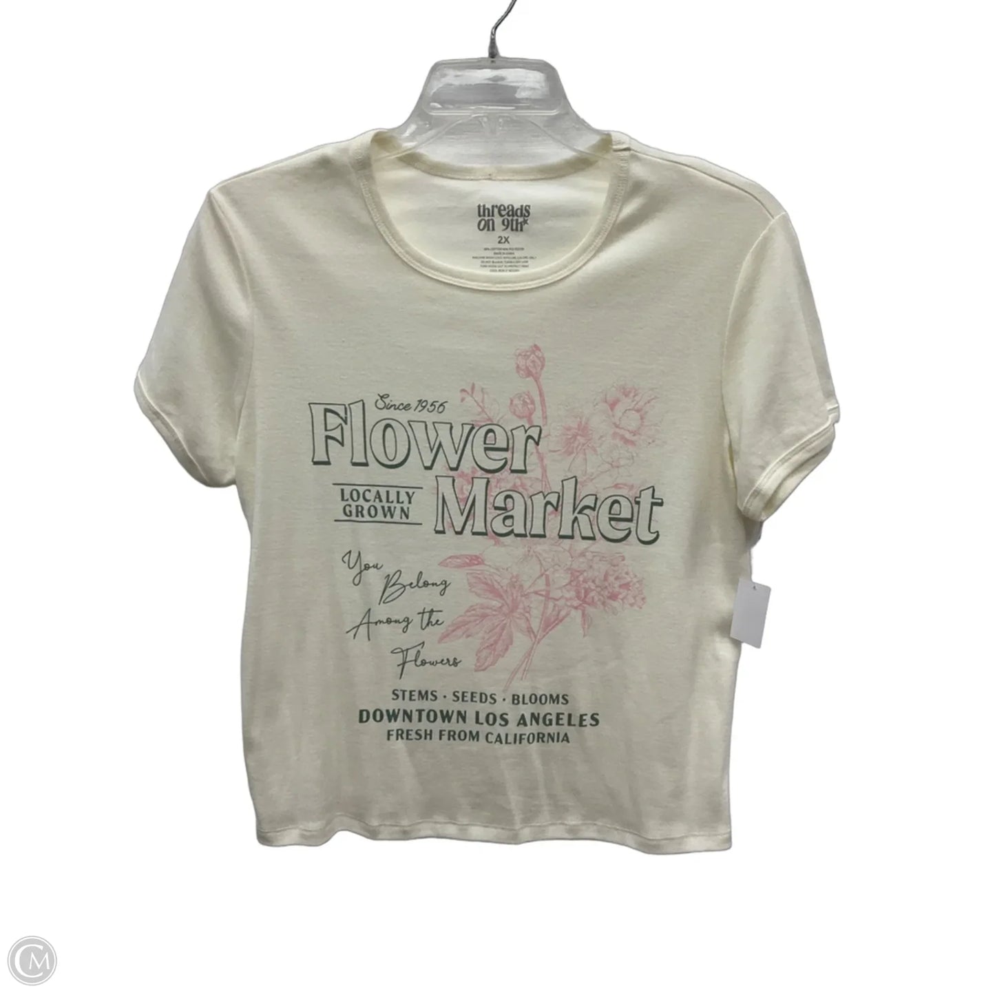 Top Short Sleeve Basic By Clothes Mentor In Cream, Size: 2x