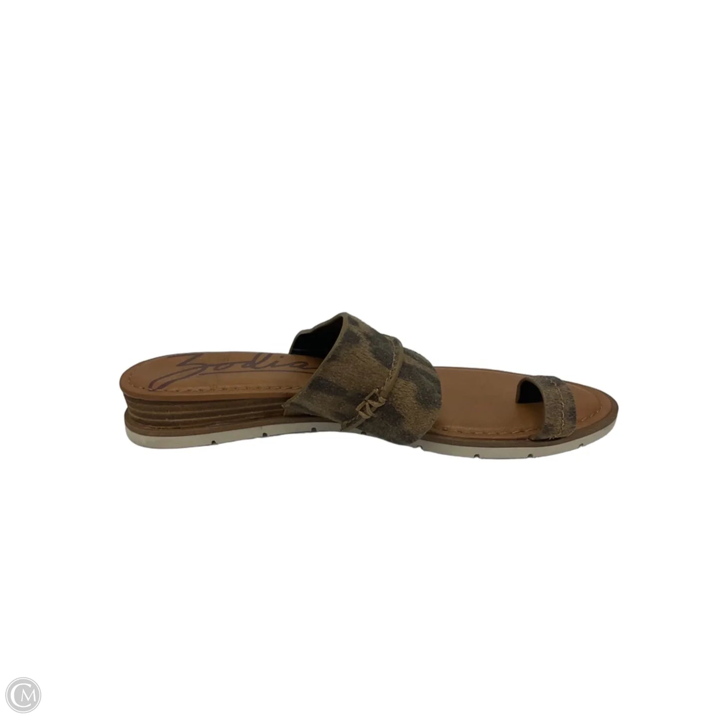 Sandals Flip Flops By Zodiac In Leopard Print, Size: 9