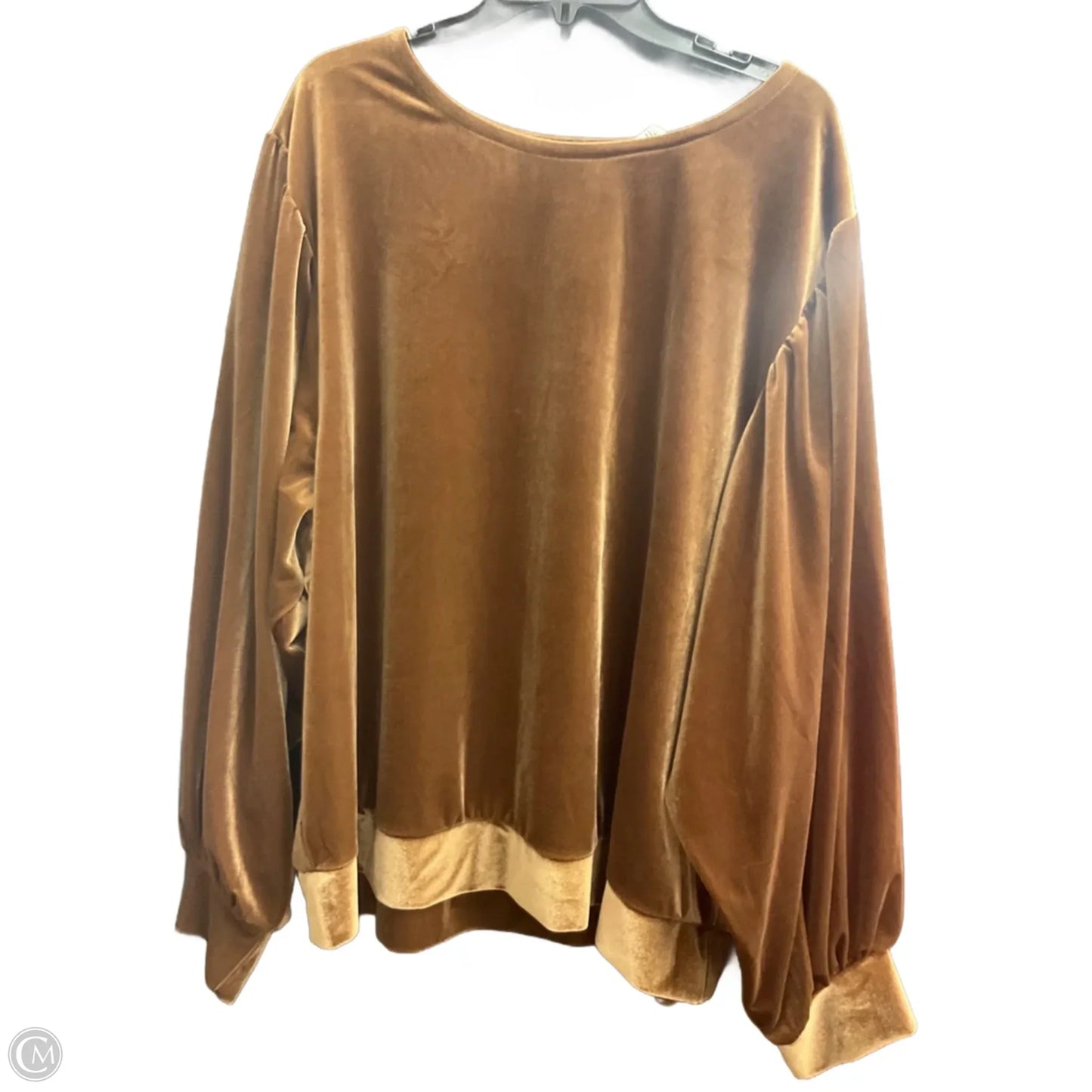 Top Long Sleeve By Ellos In Brown, Size: 2x