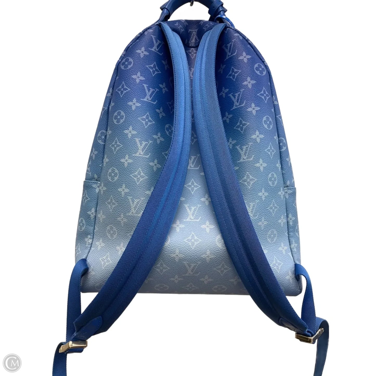 Backpack Luxury Designer By Louis Vuitton, Size: Large