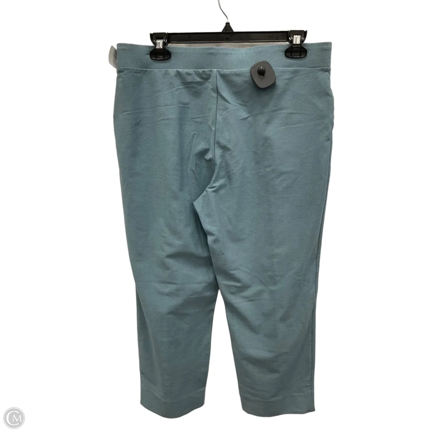 Capris By Clothes Mentor In Teal, Size: Lp