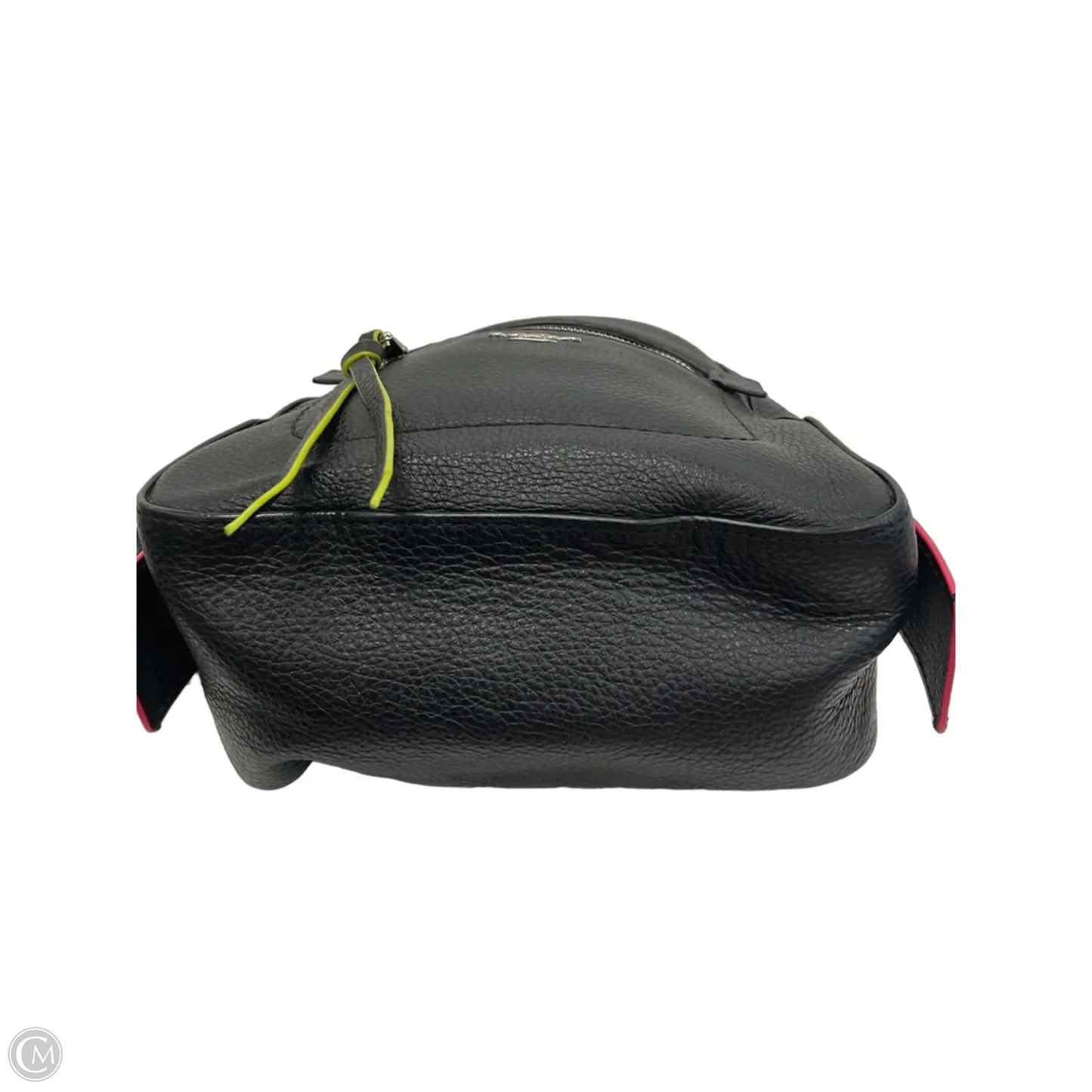 Backpack Designer By Coach, Size: Small