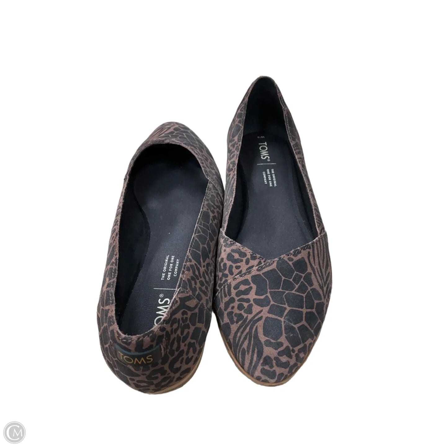 Shoes Flats By Toms In Black & Brown, Size: 9