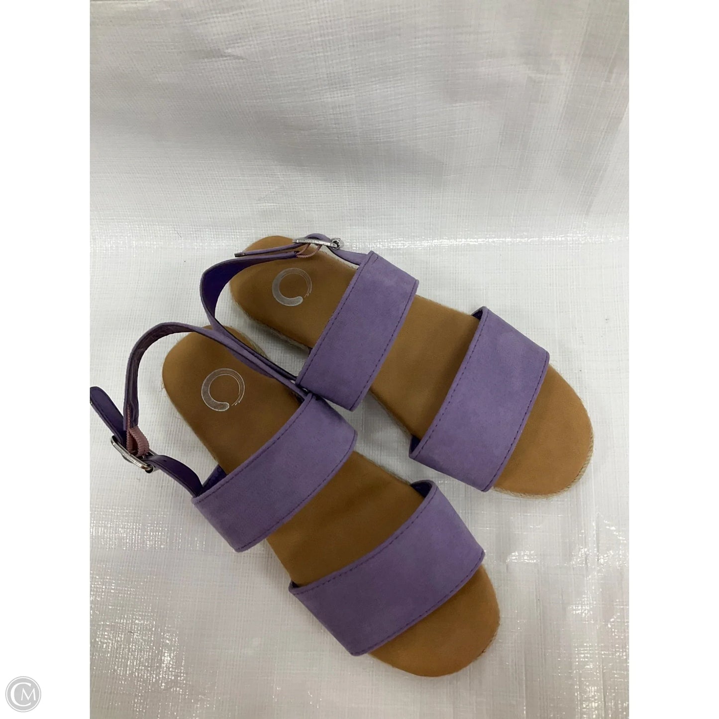 Sandals Flats By Clothes Mentor In Purple, Size: 6.5