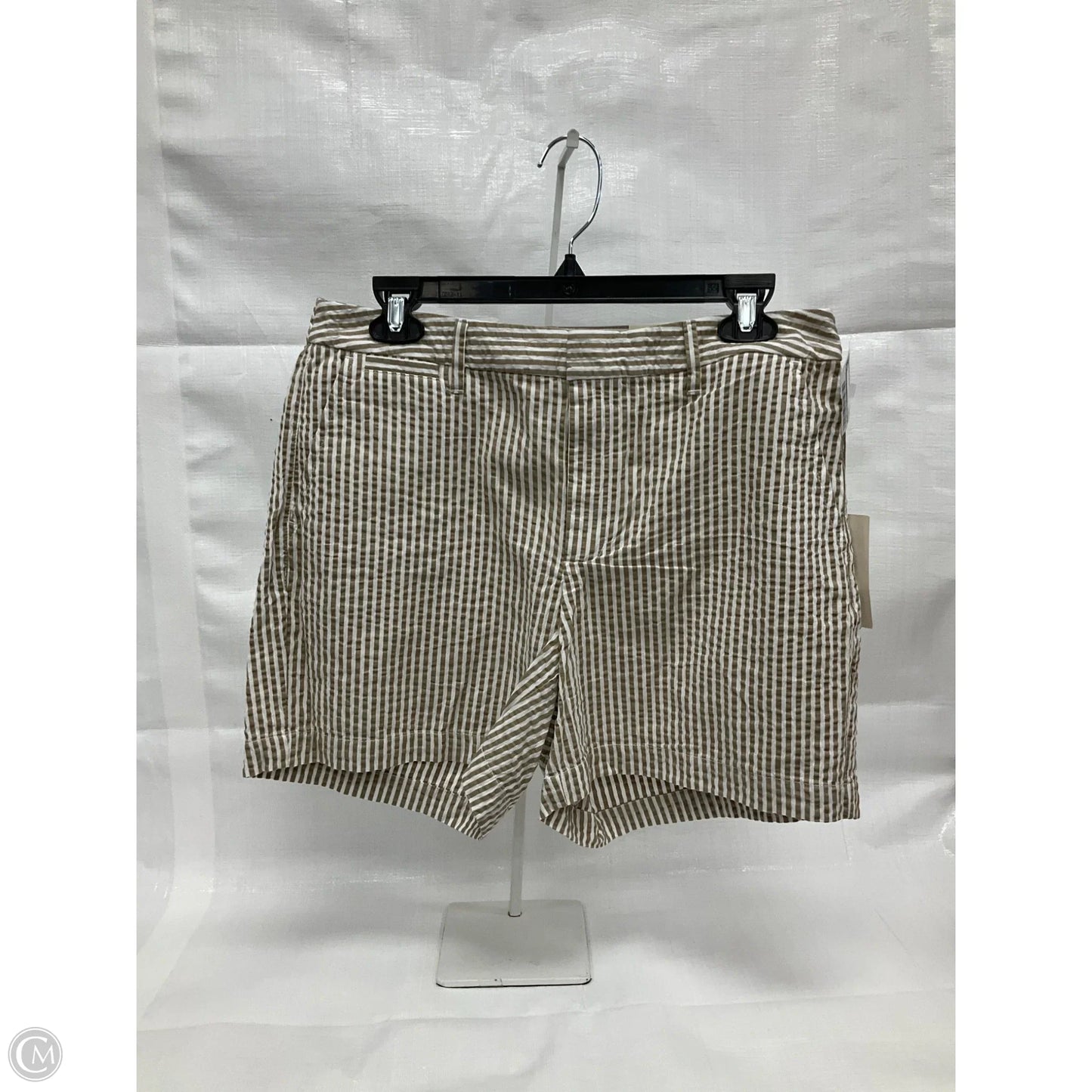 Shorts By A New Day In Brown, Size: 8