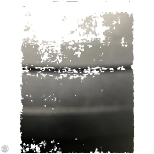 Skort By Chicos In Black & White, Size: L