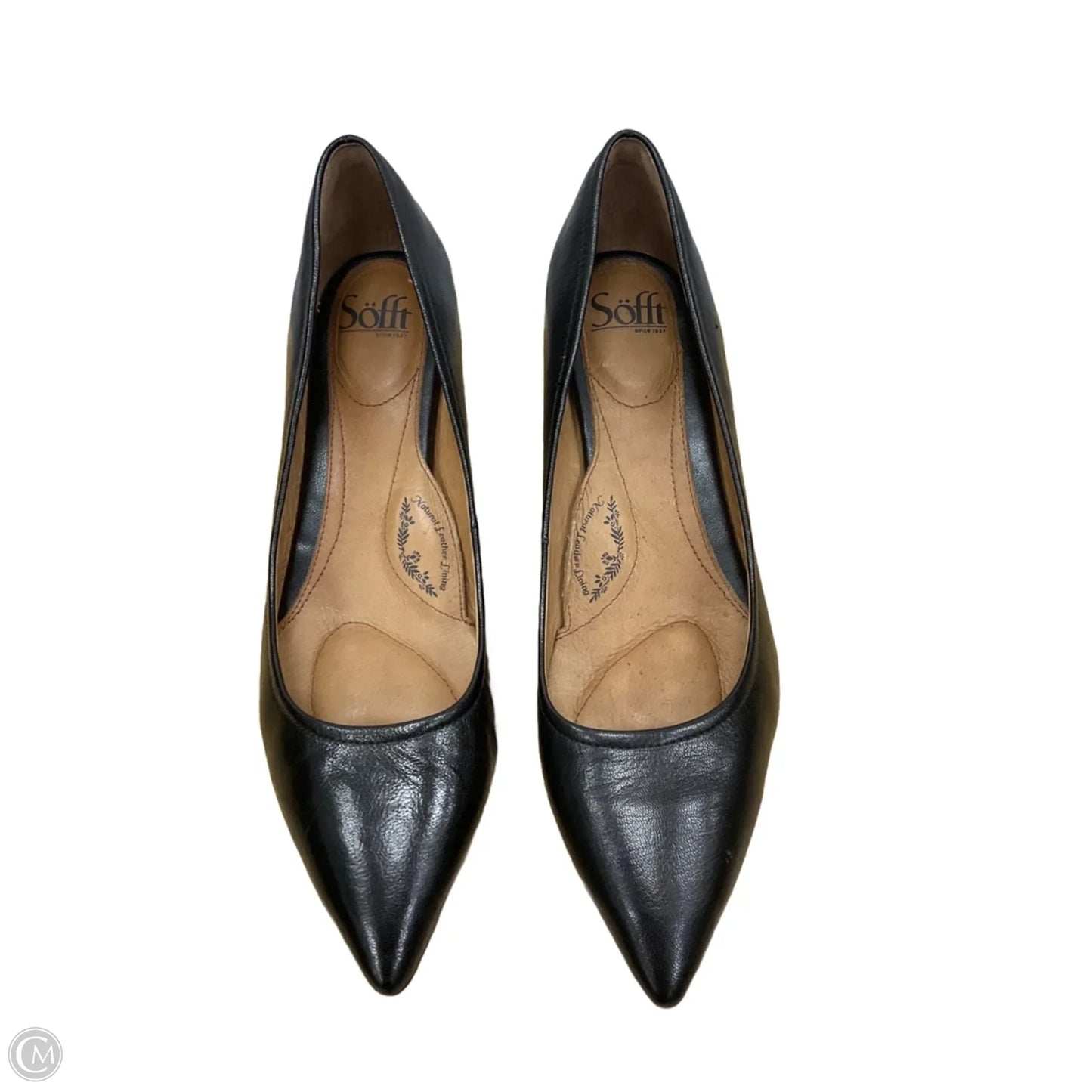 Shoes Heels Kitten By Sofft In Black, Size: 11