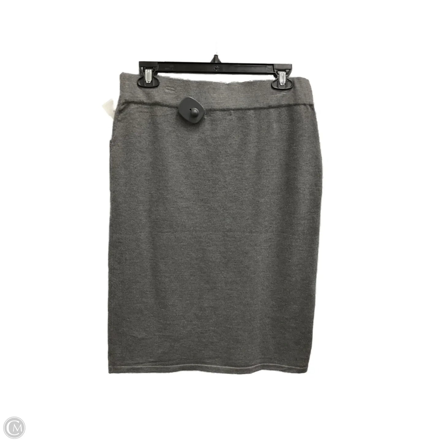 Skirt Mini & Short By Retrology In Grey, Size: L