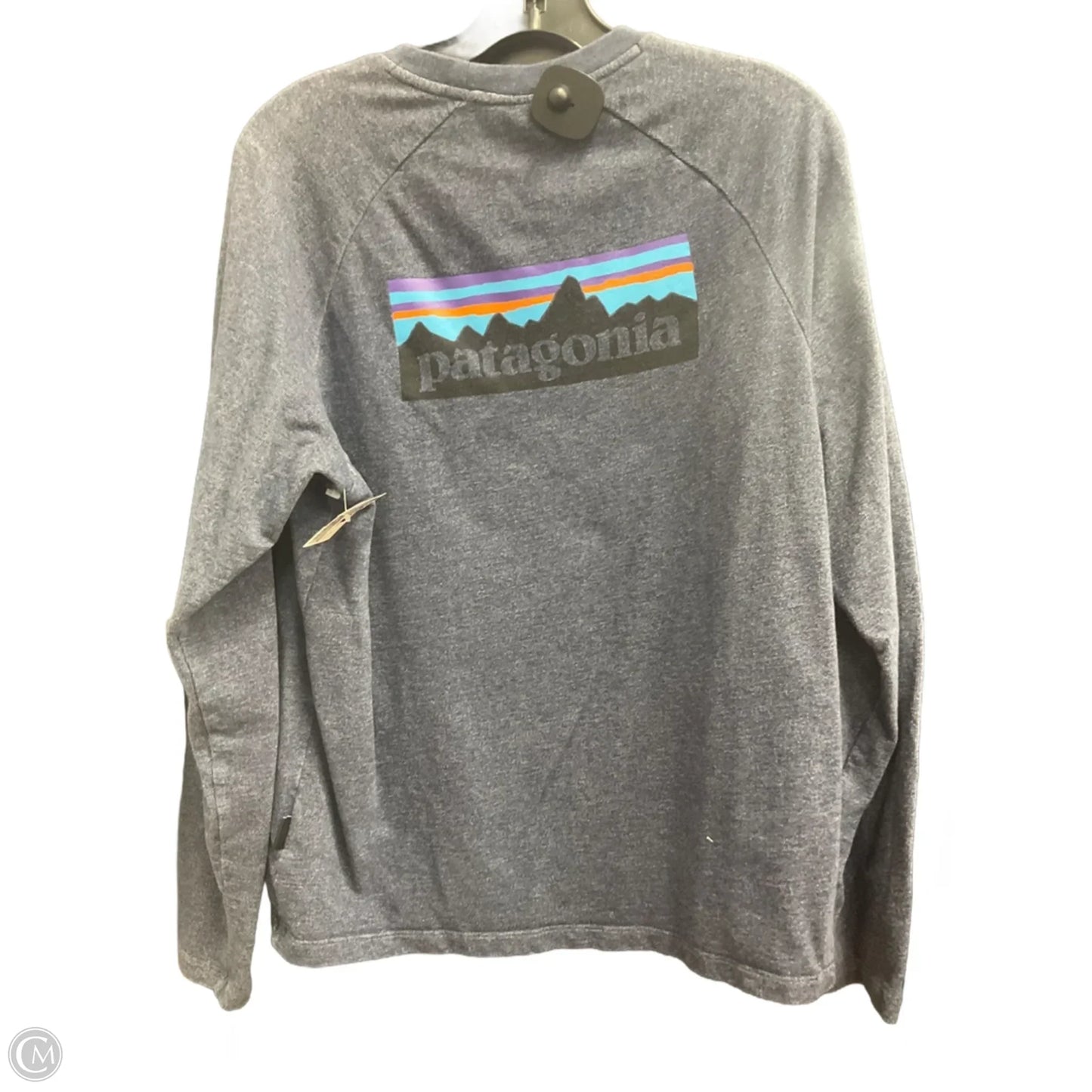 Athletic Sweatshirt Crewneck By Patagonia In Blue, Size: M