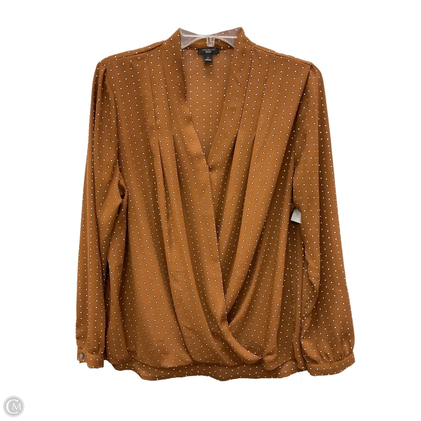 Top Long Sleeve By Ann Taylor In Brown, Size: Lp