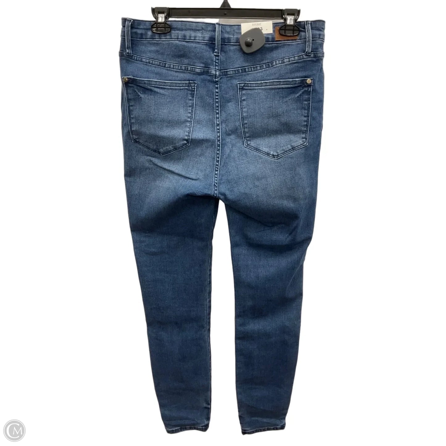 Jeans Skinny By Judy Blue In Blue Denim, Size: 14