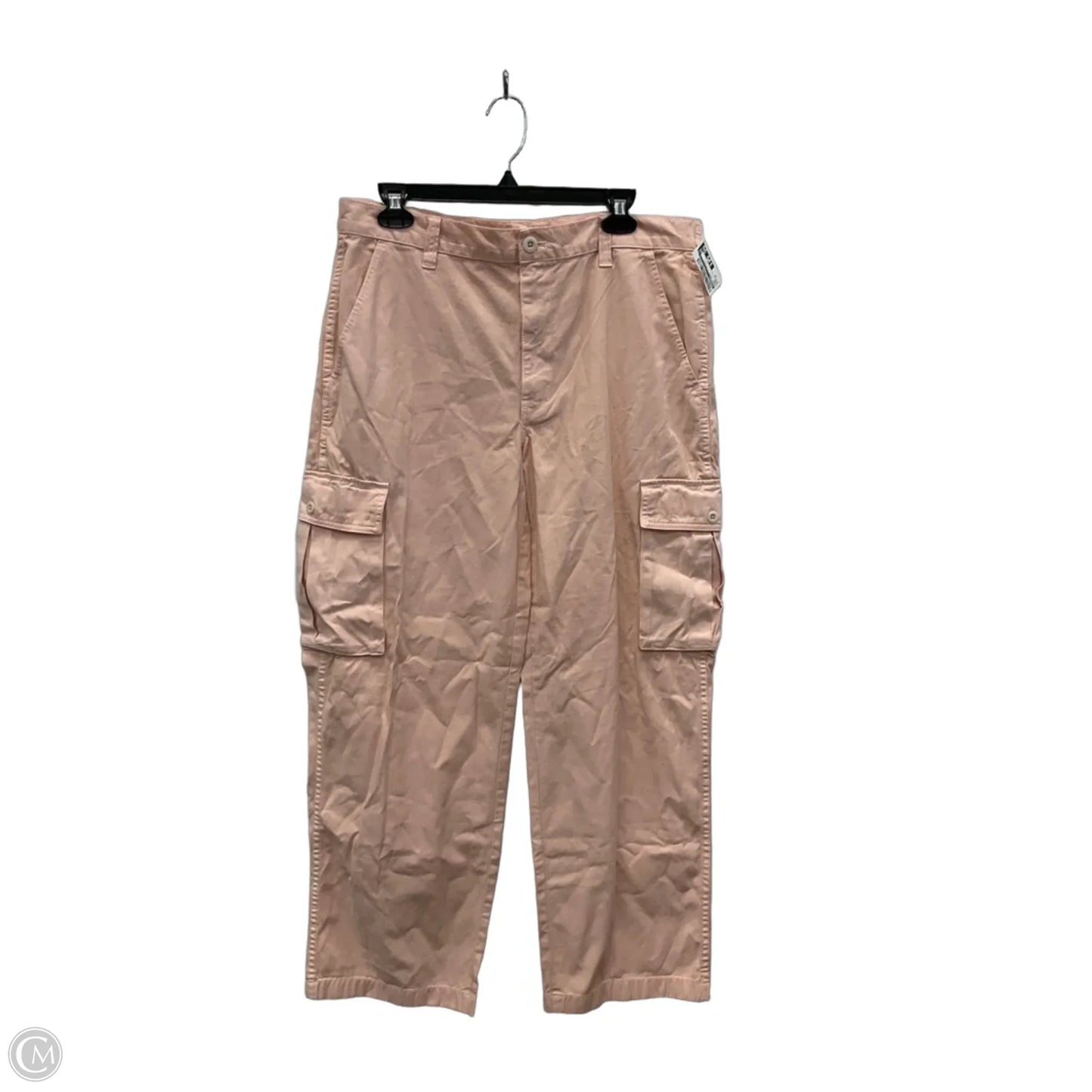 Pants Cargo & Utility By Madewell In Pink, Size: 10