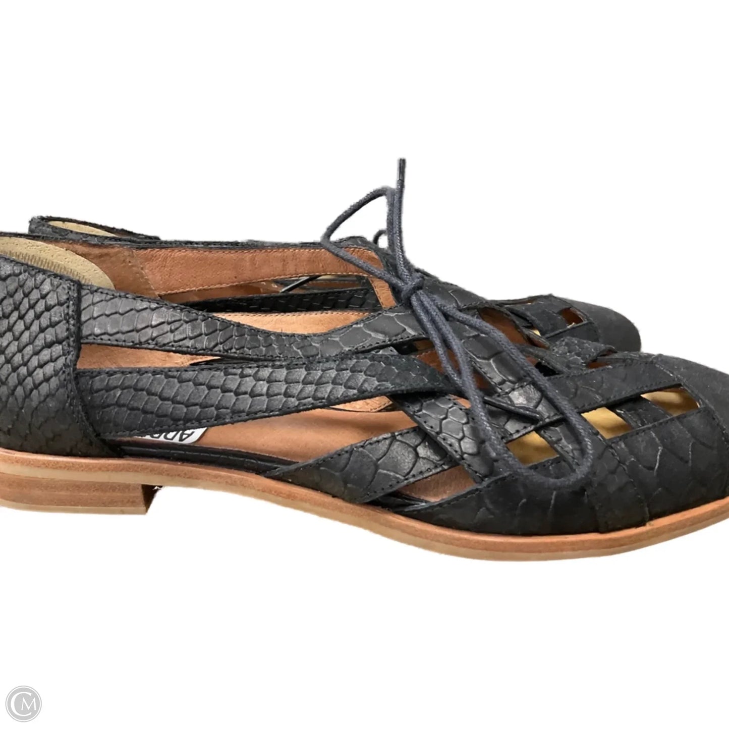 Shoes Flats By Jeffrey Campbell In Black & Brown, Size: 9