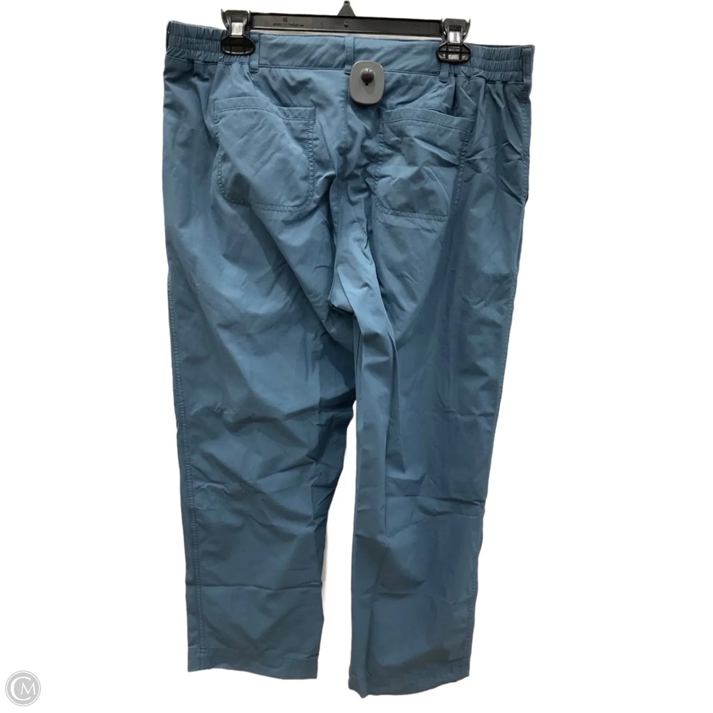 Athletic Pants By Kirkland In Blue, Size: L