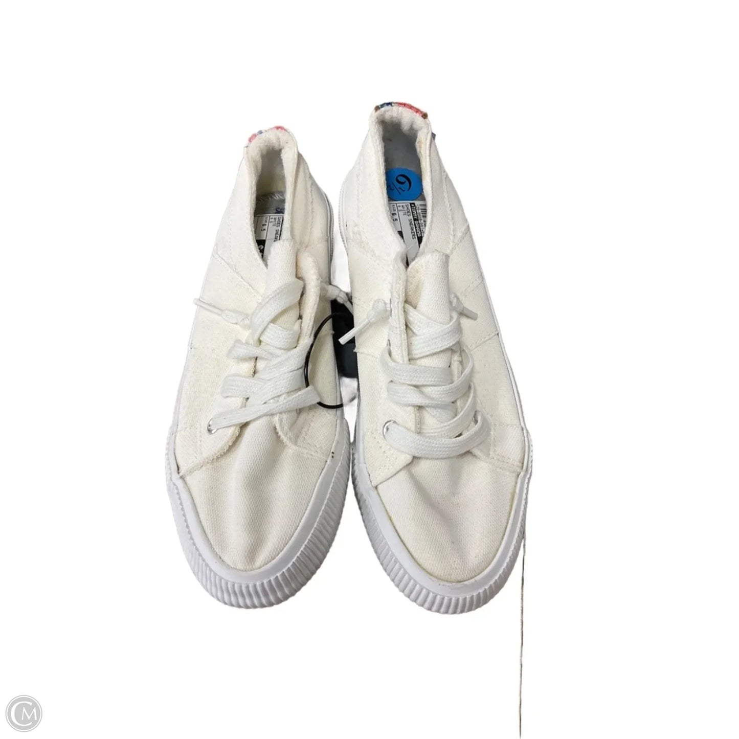 Shoes Sneakers By Tommy Bahama In White, Size: 6.5