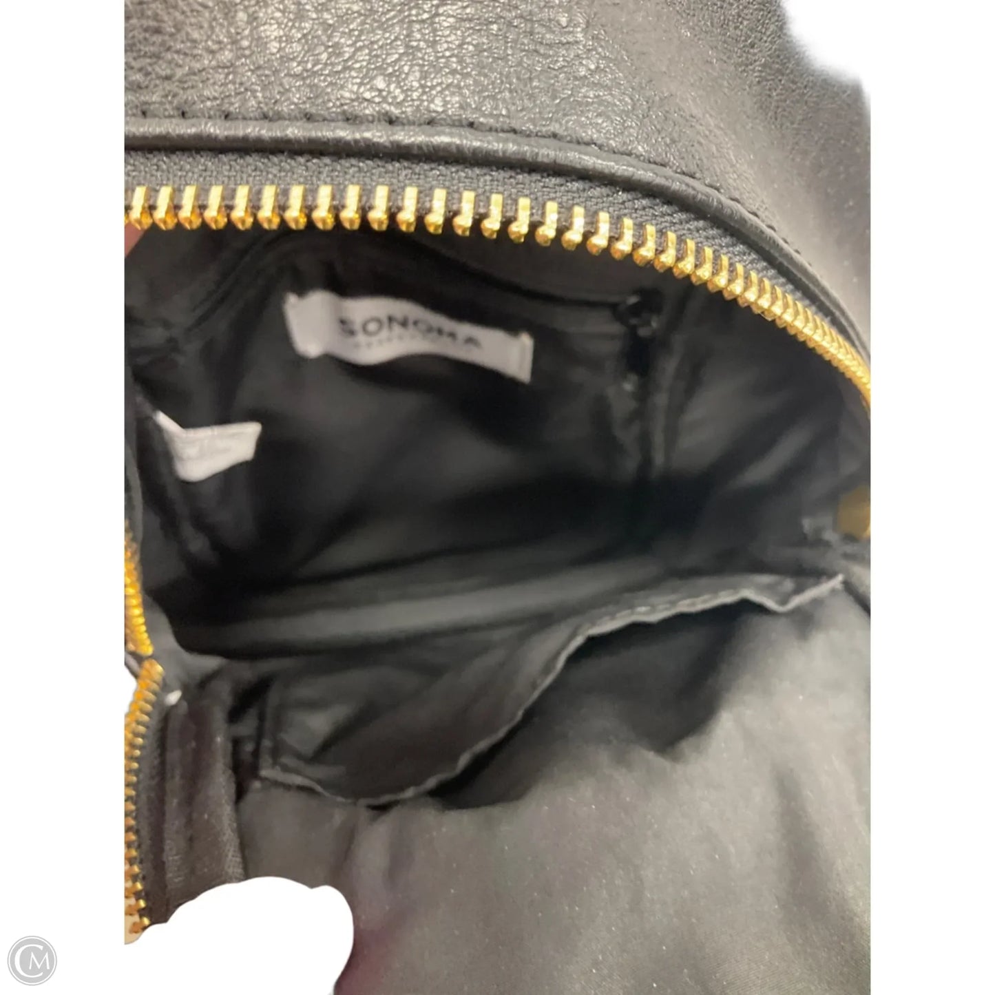 Backpack By Sonoma, Size: Small