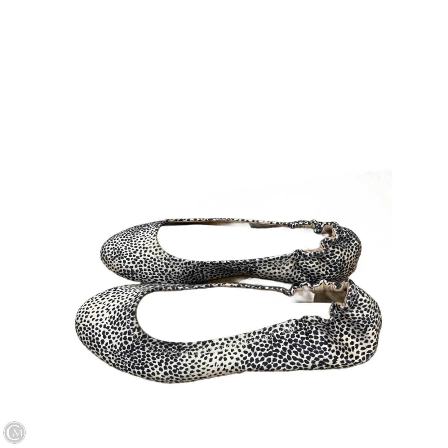 Shoes Flats By Toms In Animal Print, Size: 9.5