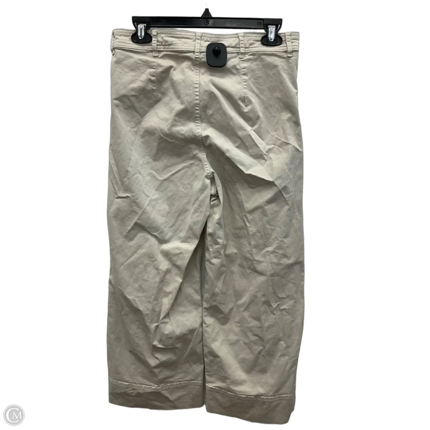 Pants Chinos & Khakis By Everlane In Tan, Size: 8