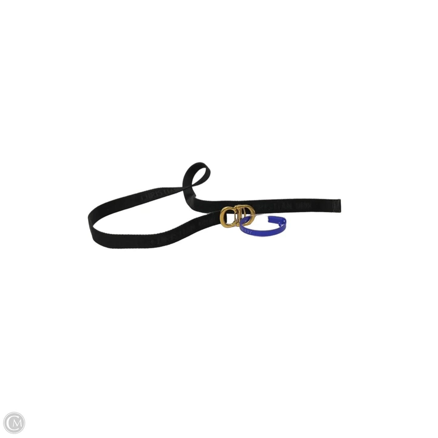 Belt Bag Luxury Designer By Chanel, Size: Large