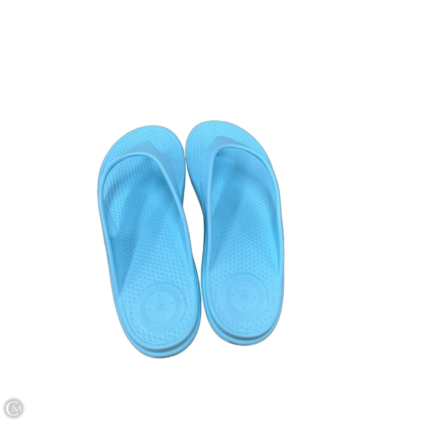 Sandals Flip Flops By Totes In Blue, Size: 10