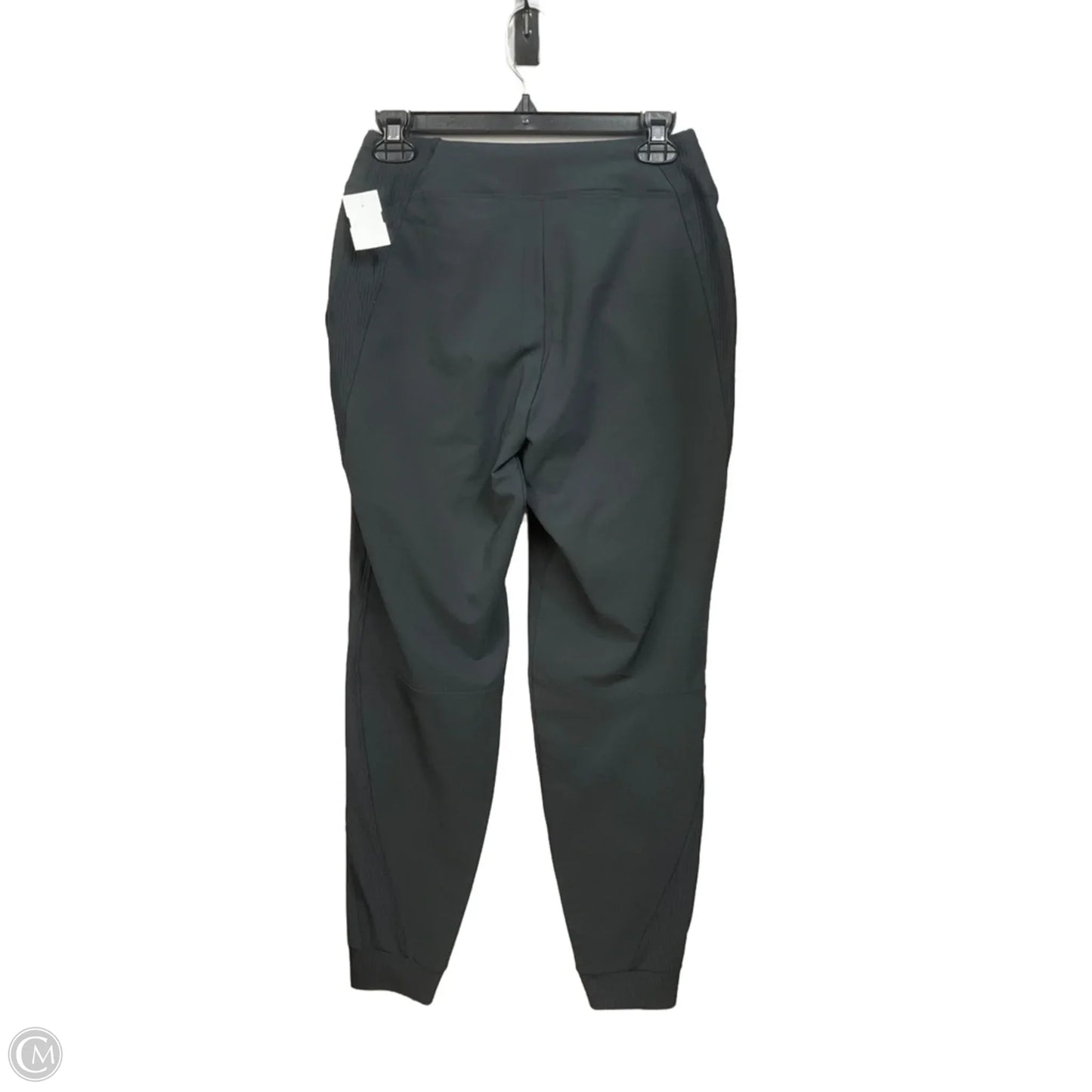 Athletic Pants By Backcountry In Grey, Size: S