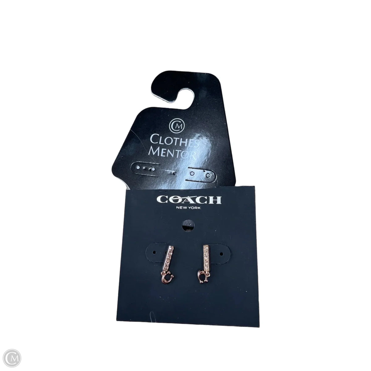 Earrings Designer By Coach