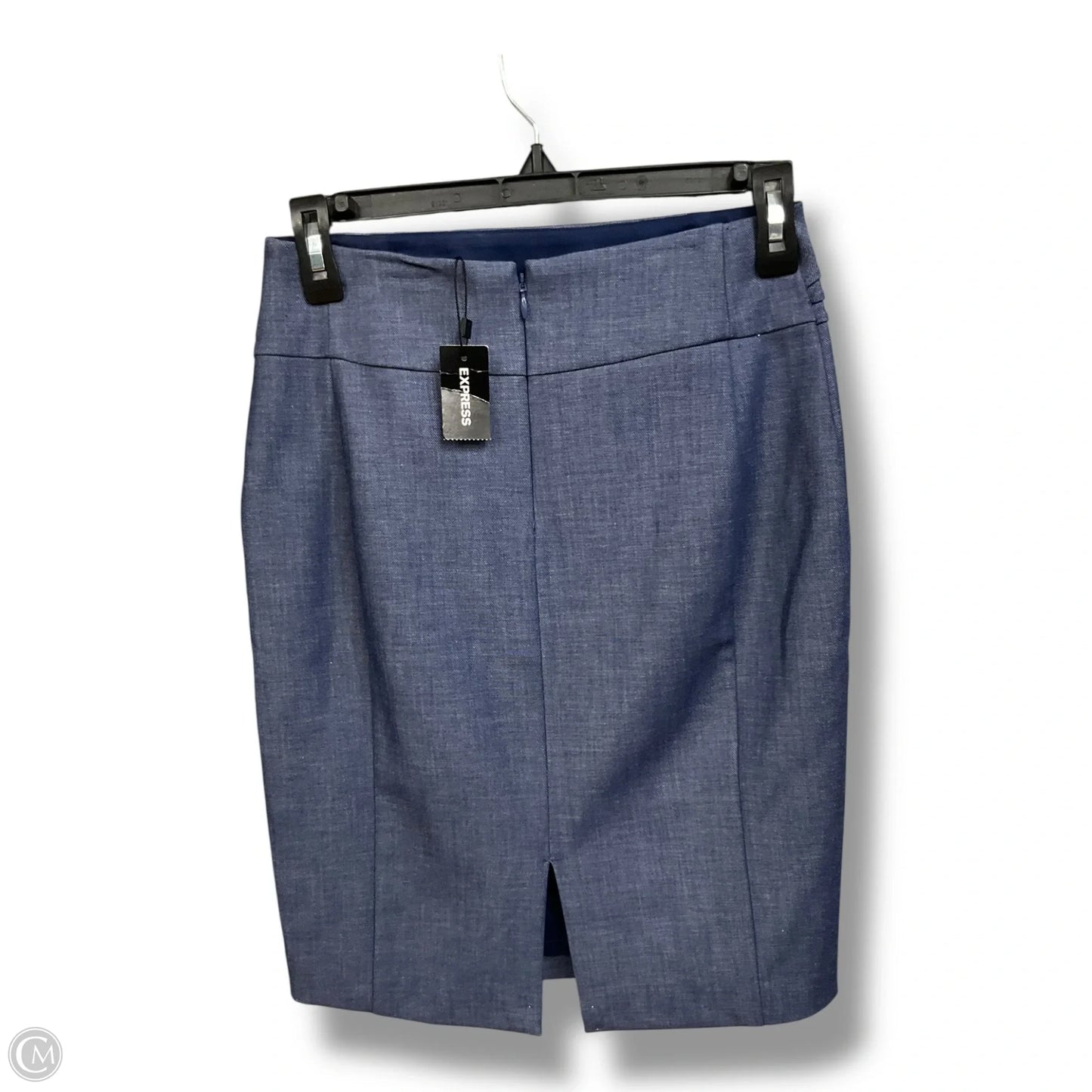 Skirt Mini & Short By Express In Blue, Size: Xs