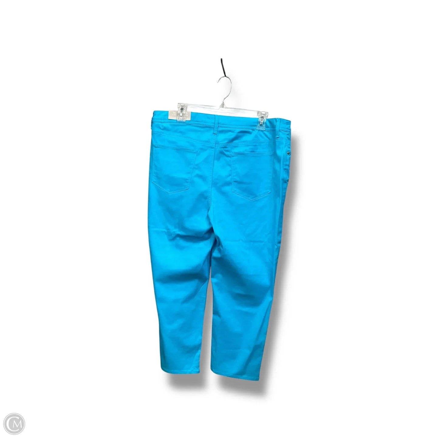 Pants Other By Chicos In Blue, Size: 14