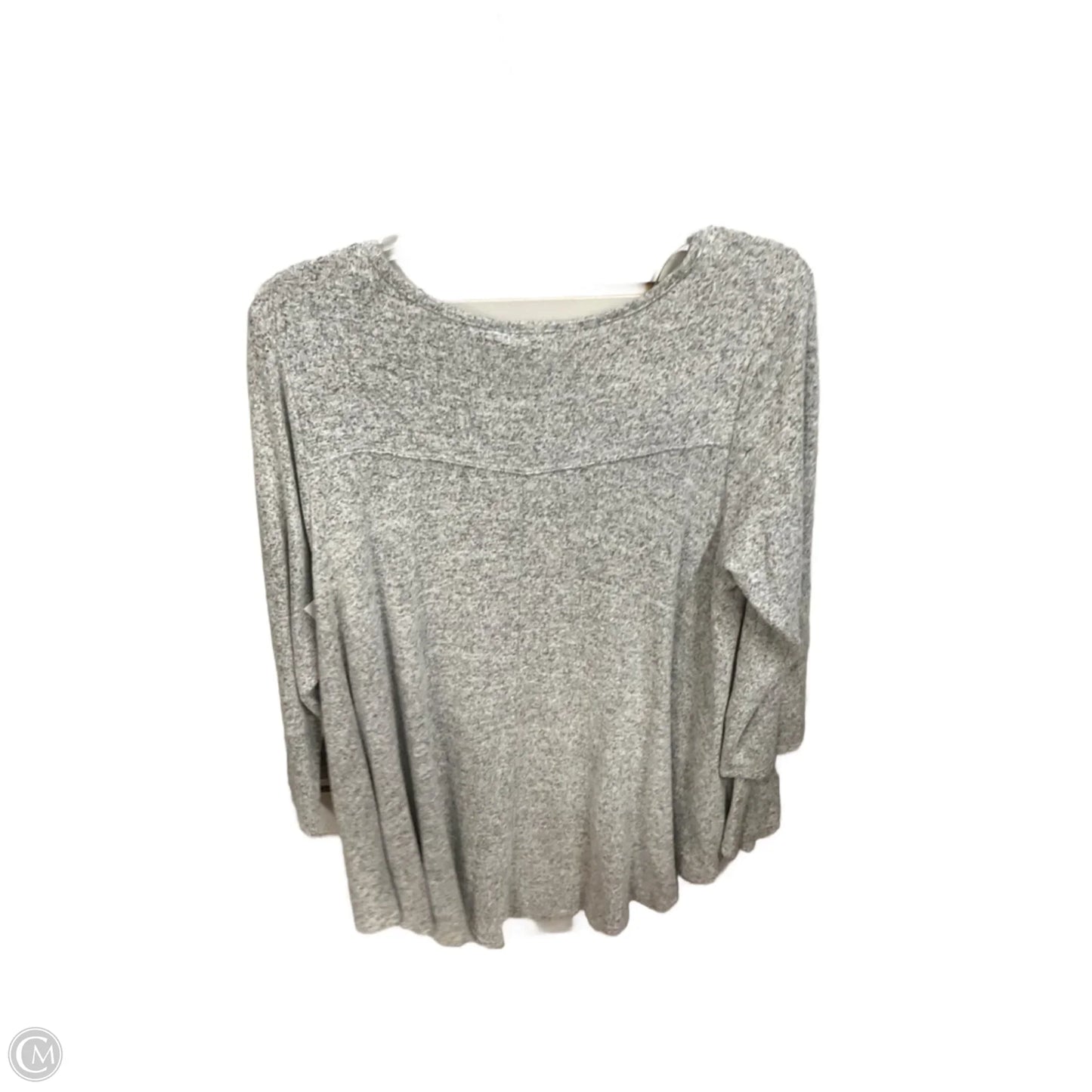 Top Long Sleeve Basic By Green Envelope In Grey, Size: 2x
