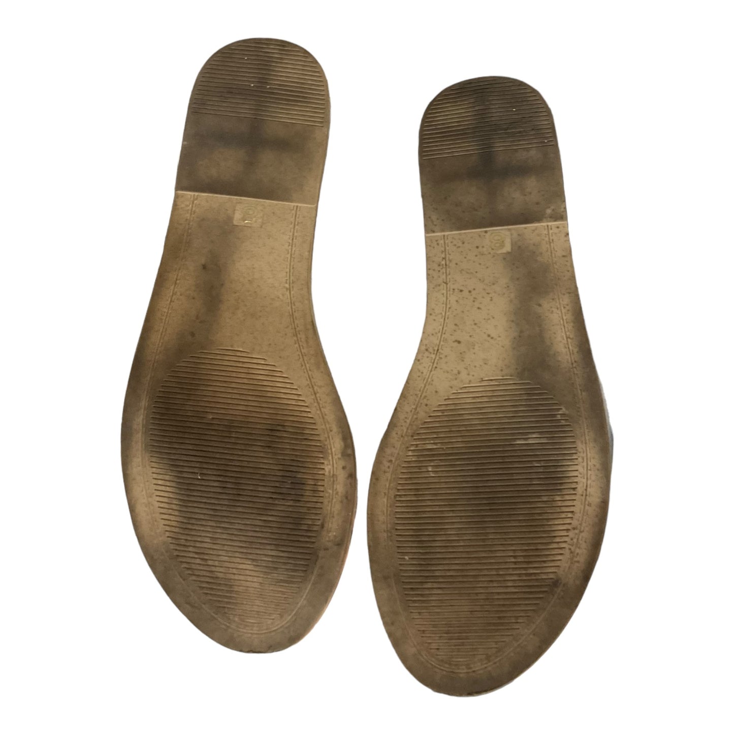 Silver Sandals Flats Steve Madden, Size 8