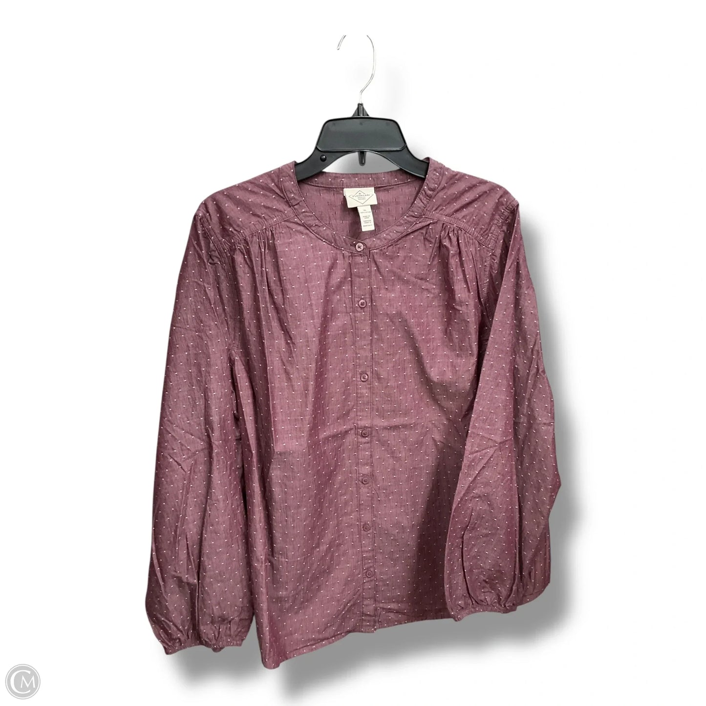 Blouse Long Sleeve By St Johns Bay In Purple, Size: Xl