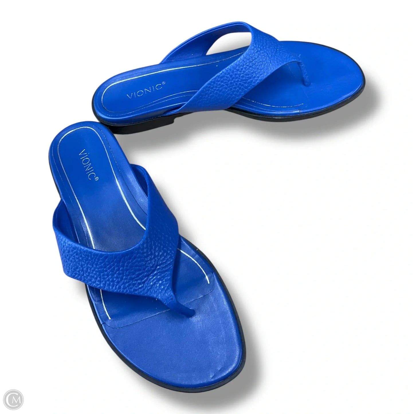 Sandals Flats By Vionic In Blue, Size: 10