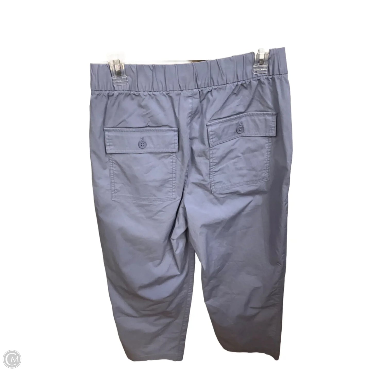 Pants Cargo & Utility By Gap In Purple, Size: 4