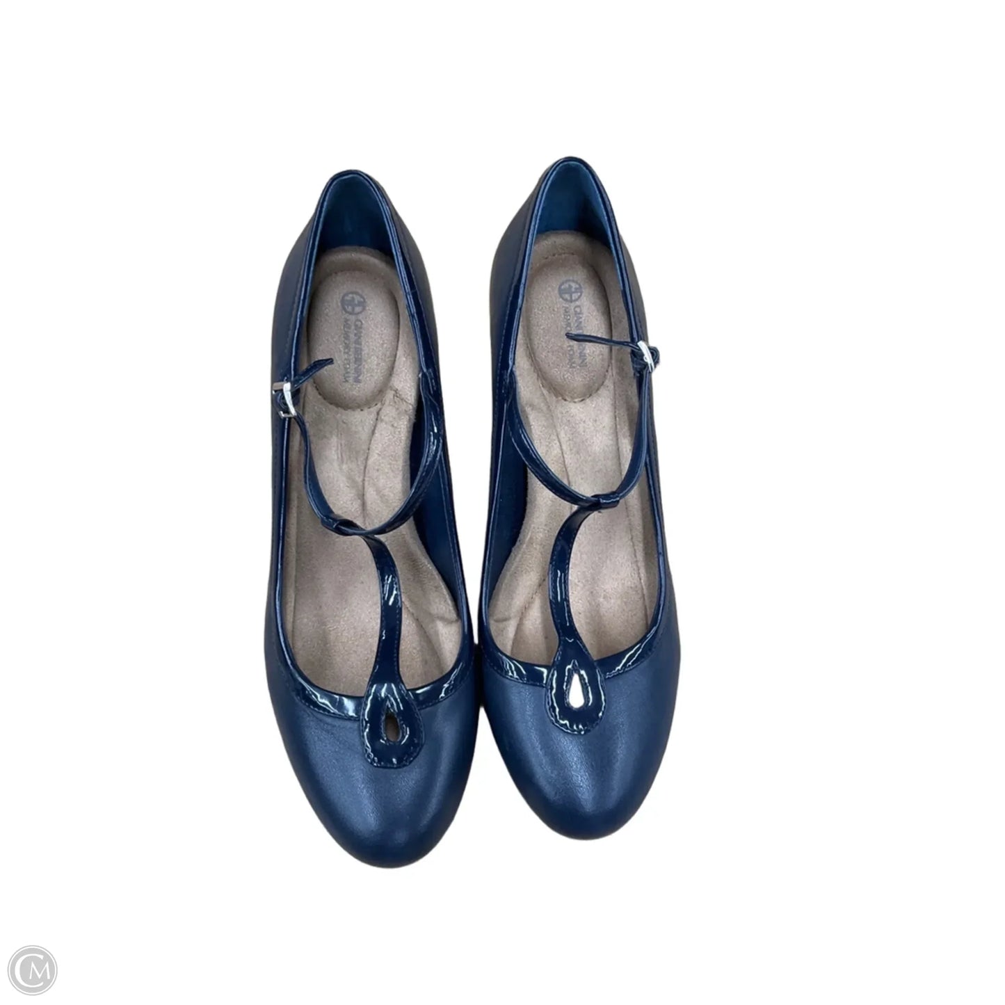 Shoes Heels Kitten By Giani Bernini In Blue, Size: 9