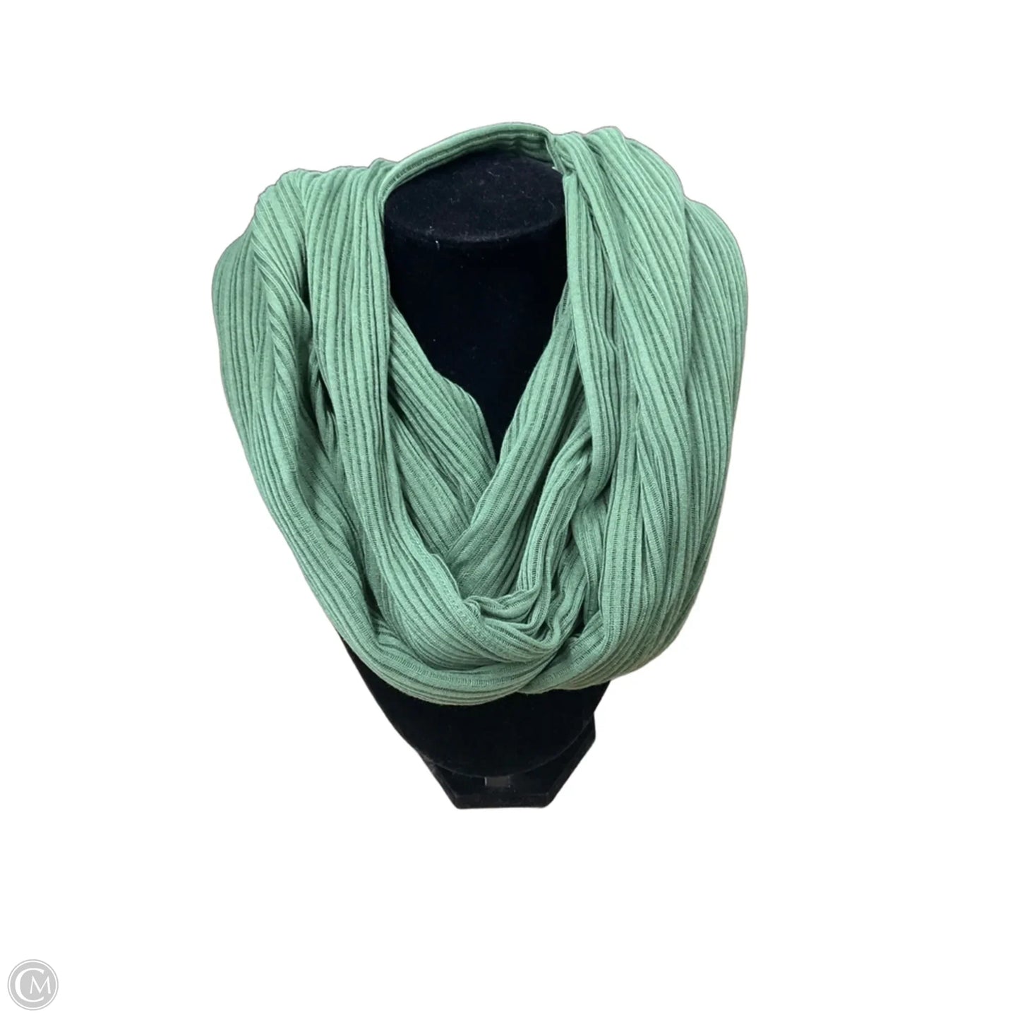 Scarf Long By Clothes Mentor