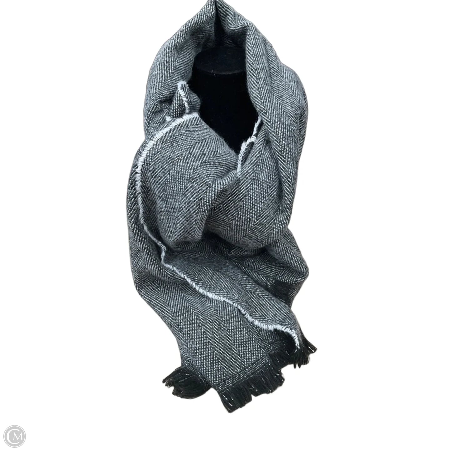 Scarf Long By Clothes Mentor