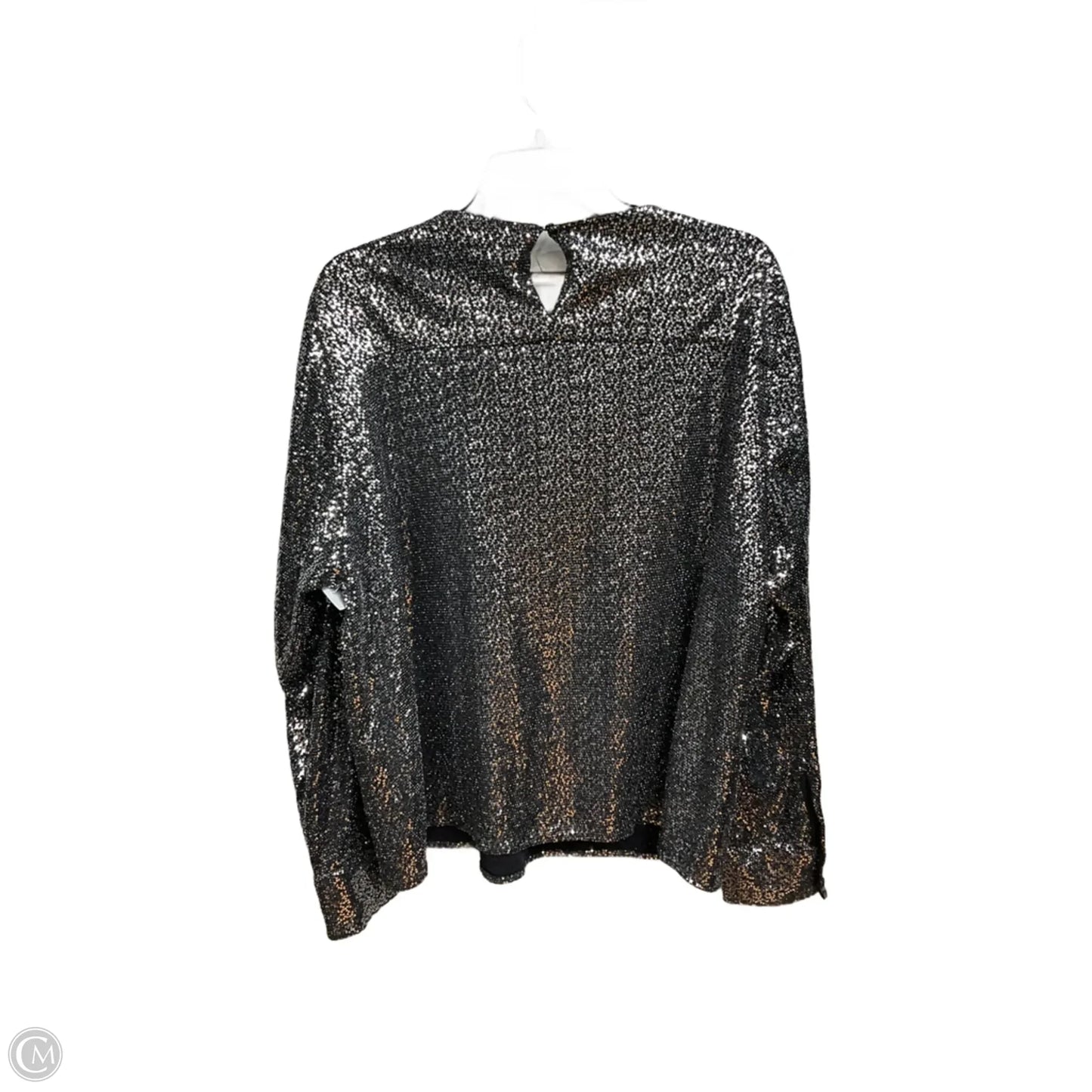 Top Long Sleeve By Zara In Black & Silver, Size: Xl