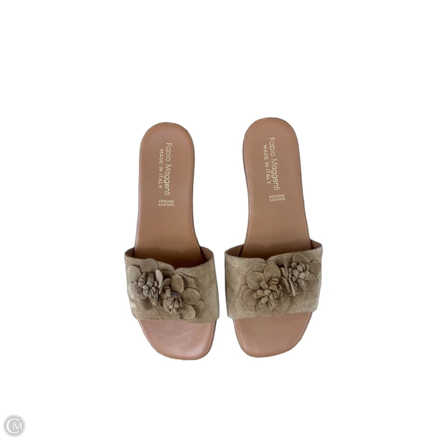 Sandals Flats By Clothes Mentor In Tan, Size: 9.5
