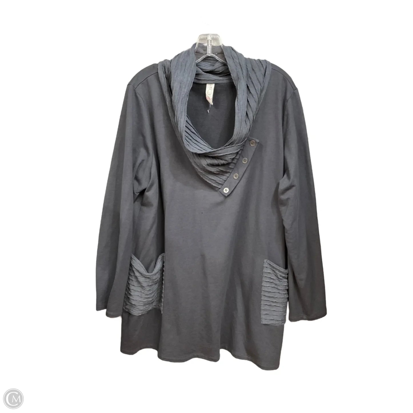 Tunic Long Sleeve By Chalet In Grey, Size: 1x