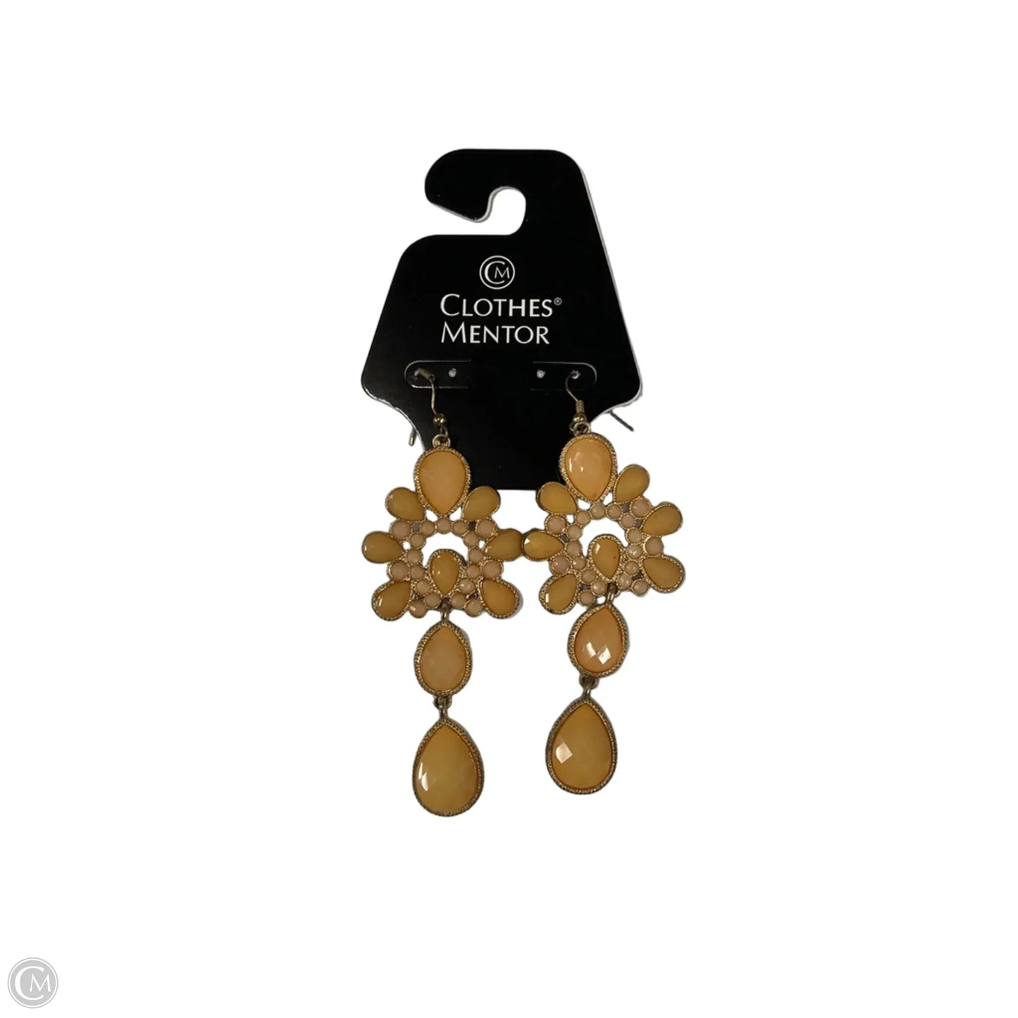 Earrings Dangle/drop By Clothes Mentor