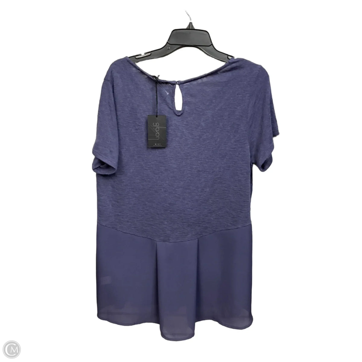 Top Short Sleeve By Clothes Mentor In Blue, Size: 1x