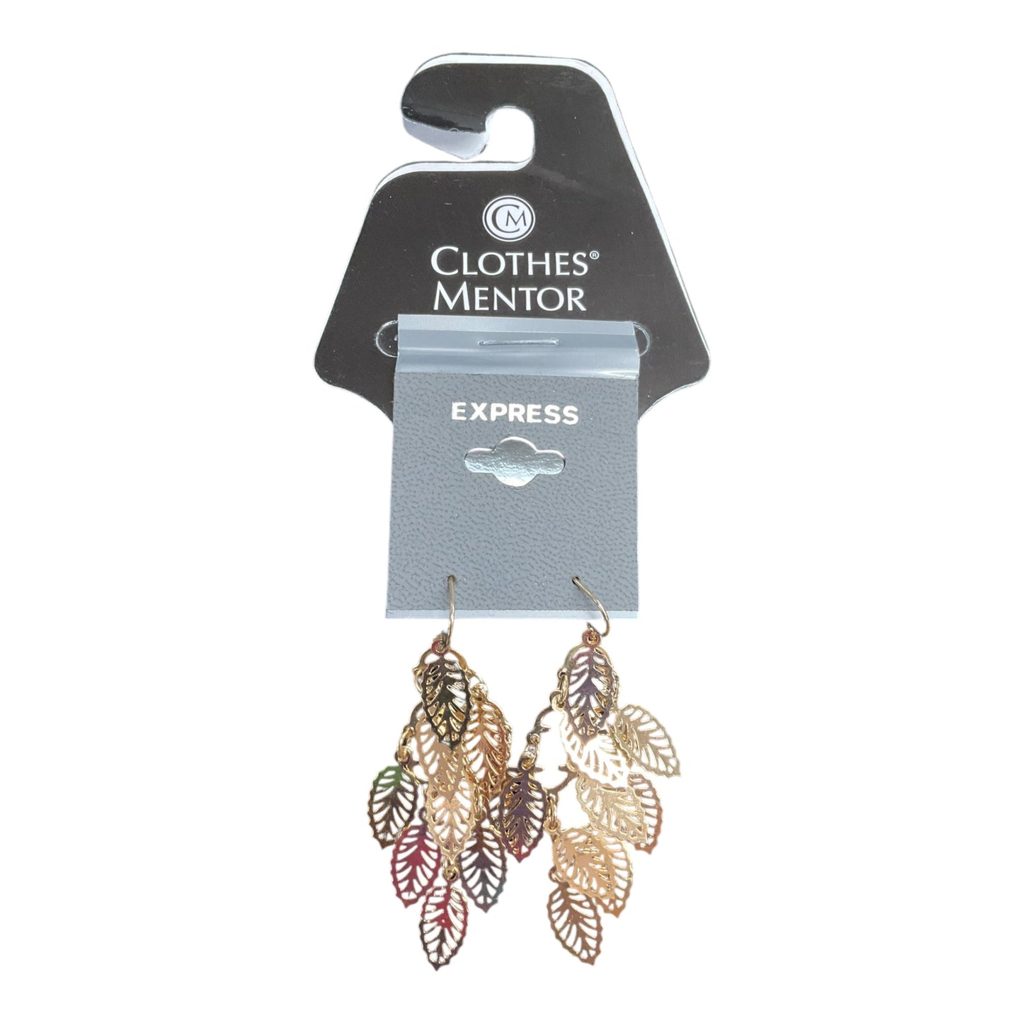 Earrings Dangle/drop By Express