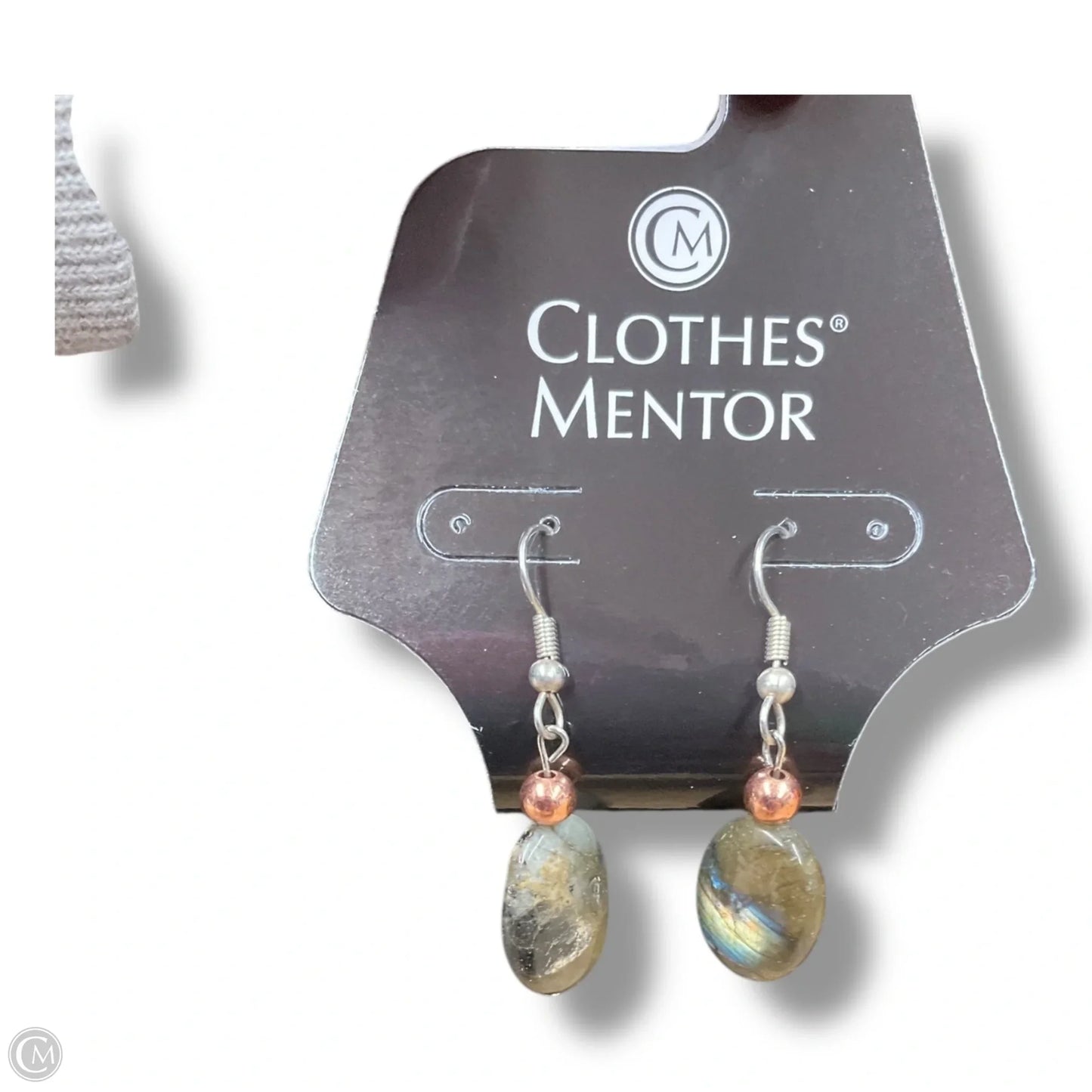 Earrings Dangle/drop By Clothes Mentor