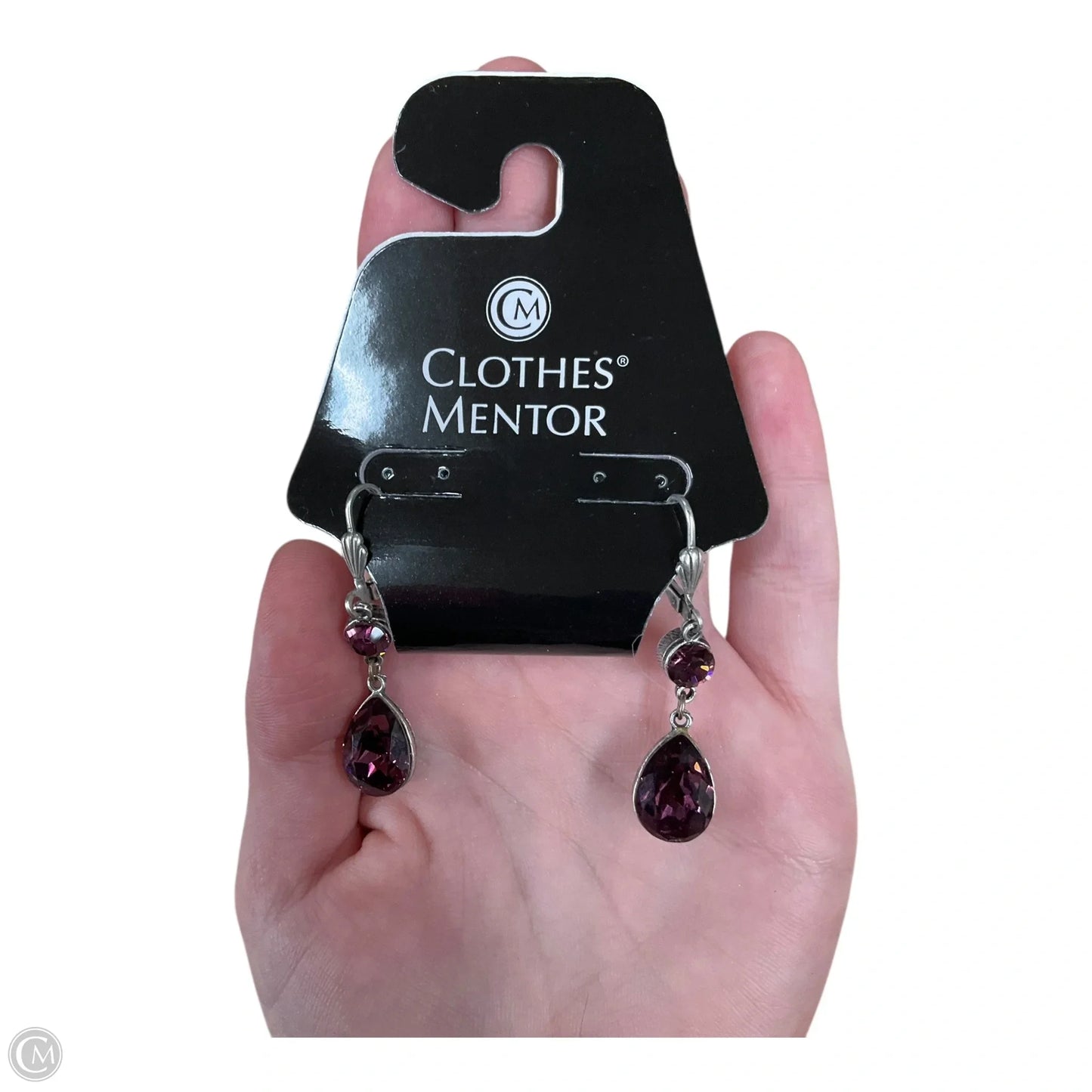 Earrings Dangle/drop By Clothes Mentor