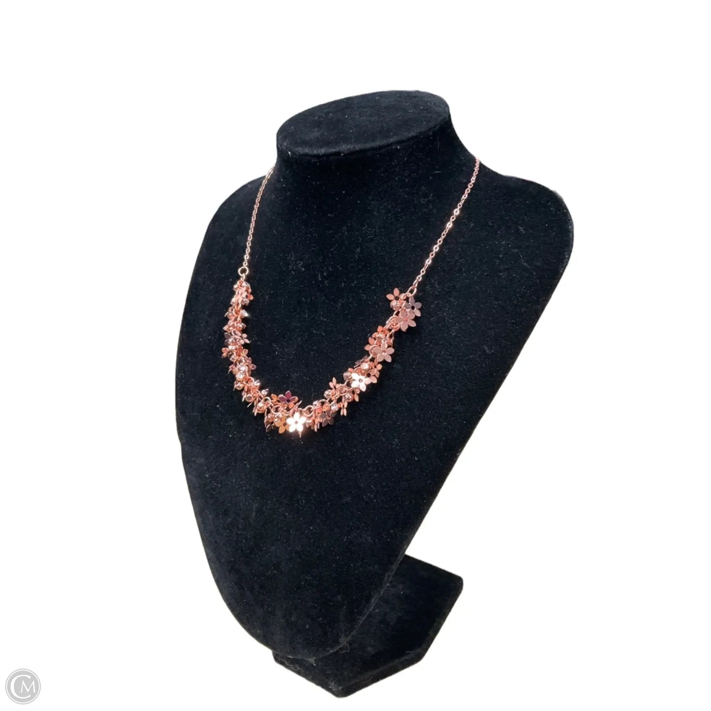 Necklace Chain By Clothes Mentor